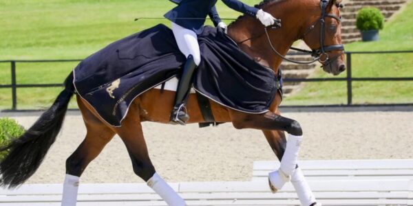 Franco Nero – Breeding and Sport