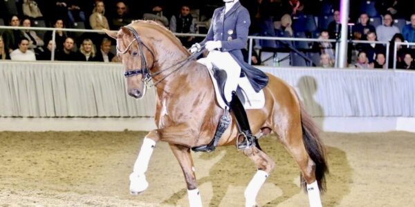Vitalos FRH – breeding and sport