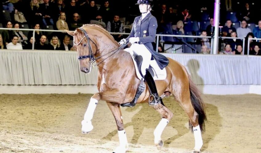 Vitalos FRH - Equites Horses